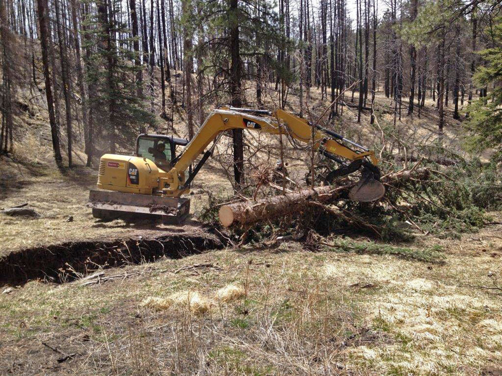 Cat 308 positioning tree in gully