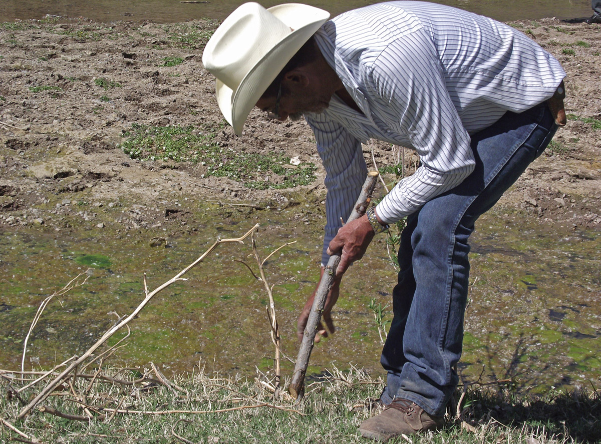 Volunteers working at riparian habitat restoration in Sonora, Mexico