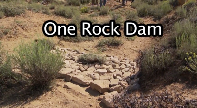 How to build a One Rock Dam to regenerate an erosion area