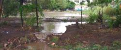 Sheet Flood Irrigation Event at Botanic Garden