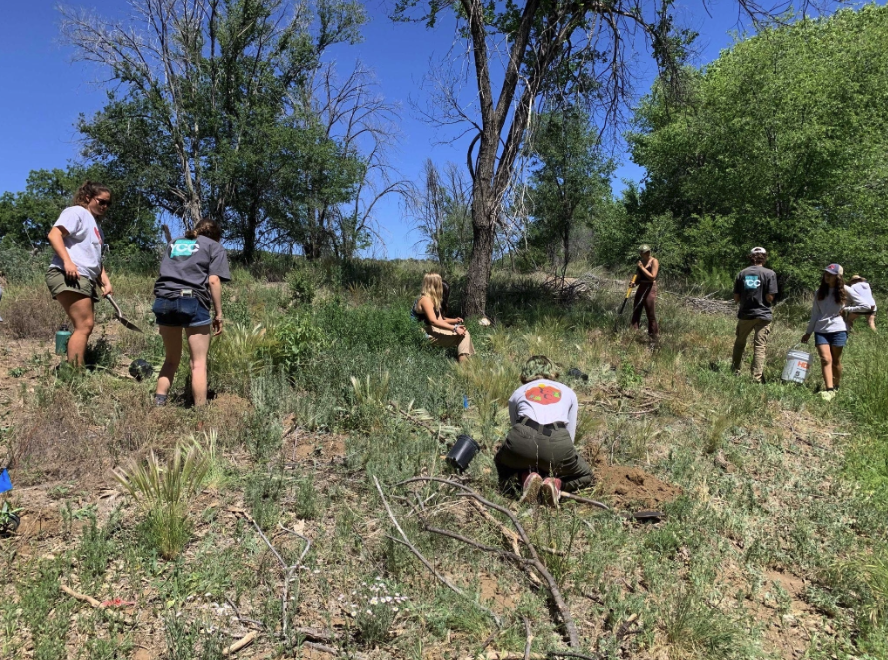 Aldo Leopold Summer YCC Crew Planting Day on San Vicente Creek