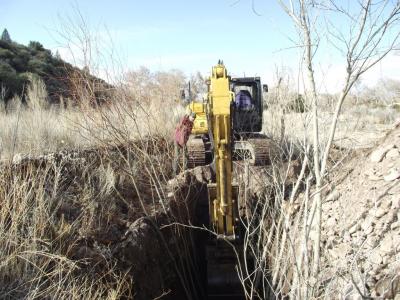 Willow planting in 2011